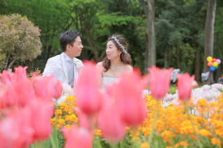 花が綺麗な季節になってきました