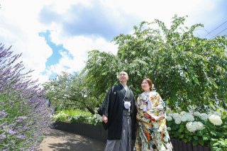 紫陽花の季節です！