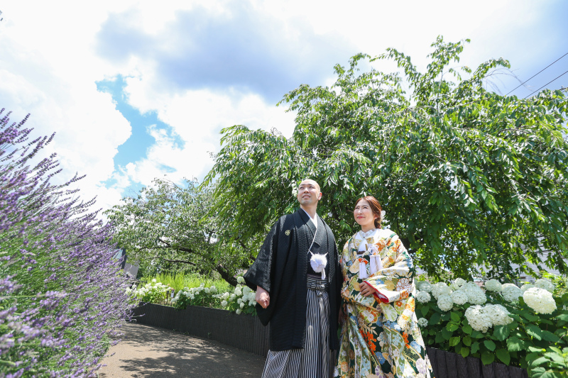 紫陽花の季節です！