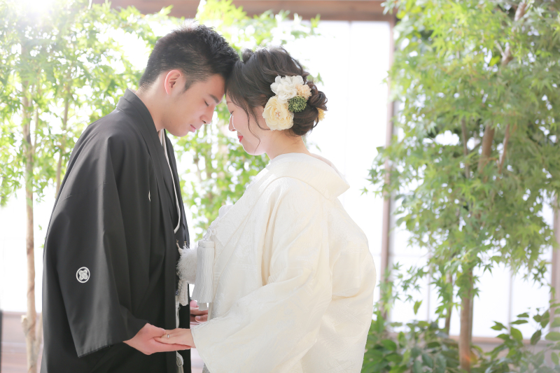 柔らかい光の中で