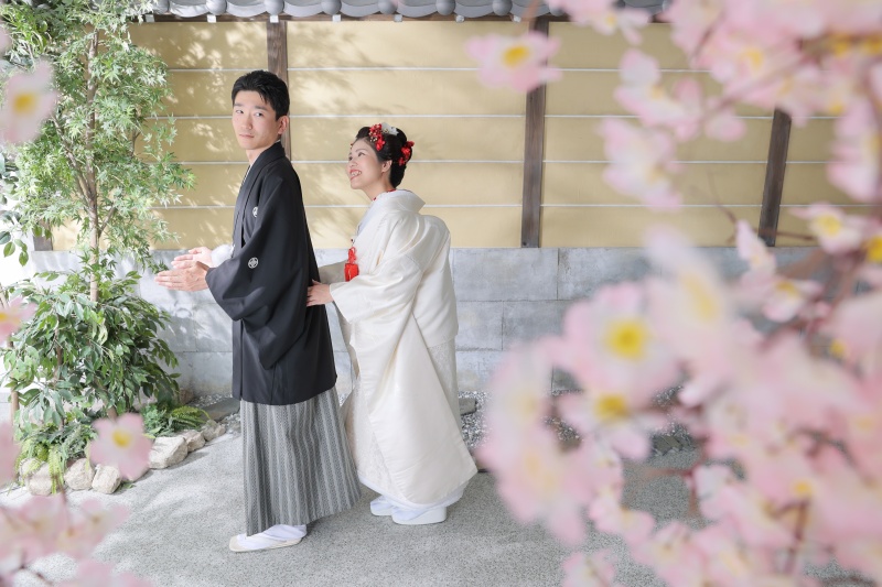 汽車ポッポで移動するお二人