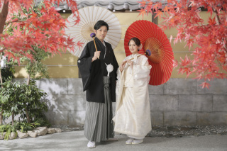 穏やかな屋内庭園で紅葉撮影！