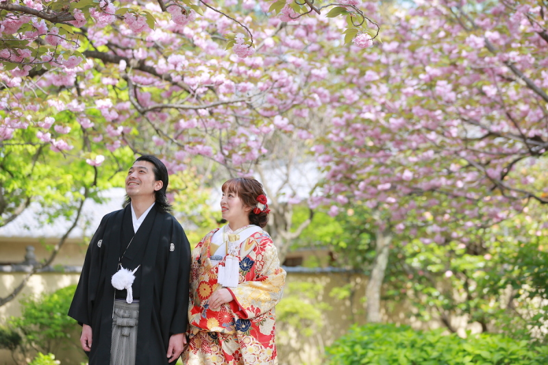 桜ロケのご紹介