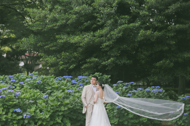 ベールふわり♪