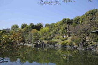 春の風を感じる撮影♩