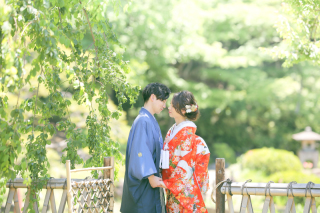 緑が深くなってきました。