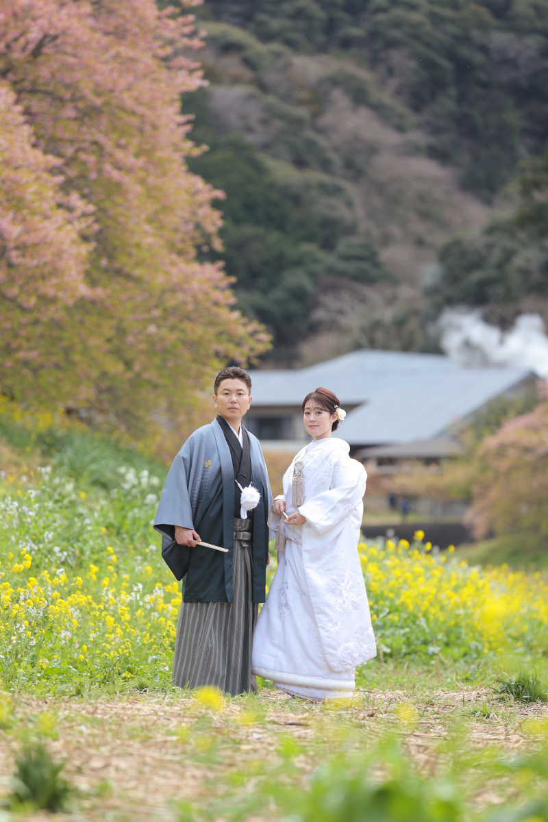 和装で！桜と菜の花ロケーション
