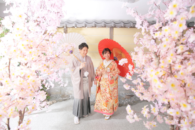 桜並木で散歩