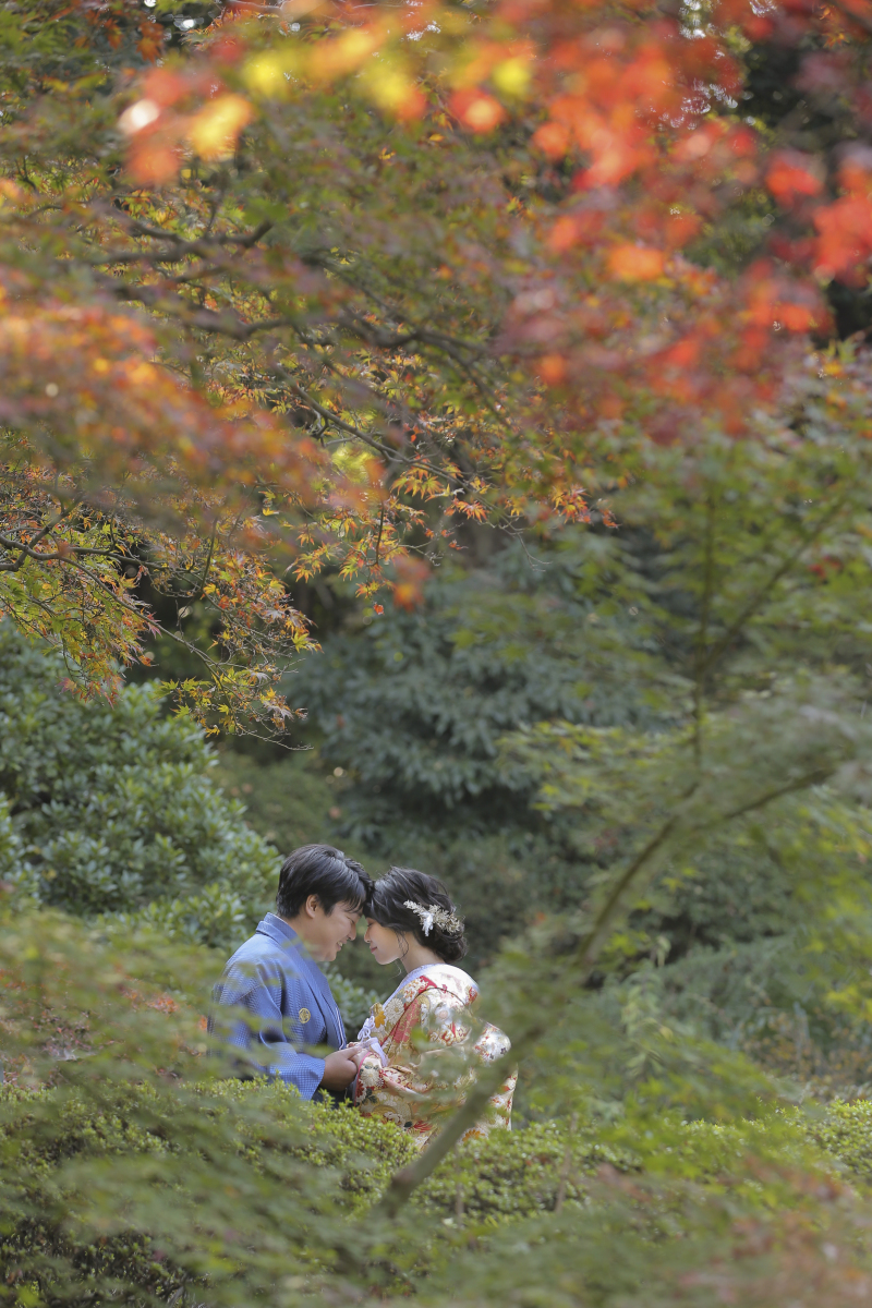 静かな木々に囲まれて。