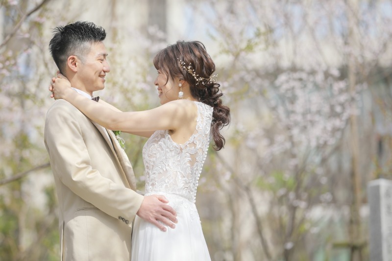  新宿中央公園の桜の開花状況です。 