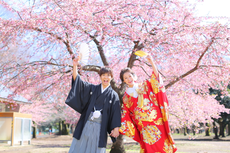 「桜でうぇーい」