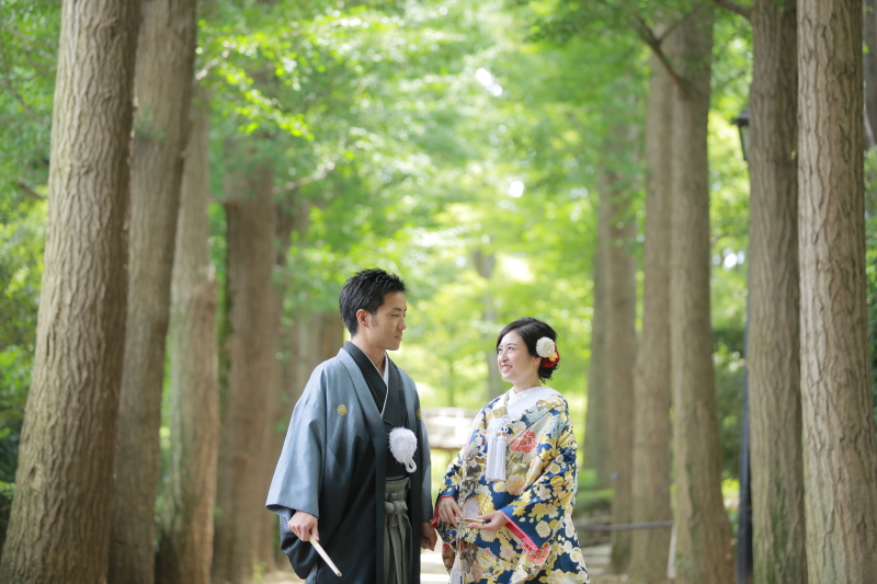 緑が綺麗な季節です