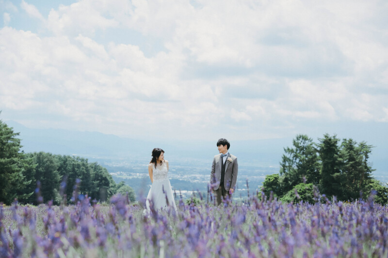 ラベンダーが一面に咲いておりました♪