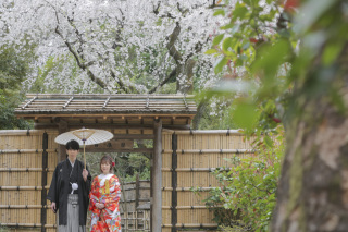 桜ロケーション撮影のご紹介！