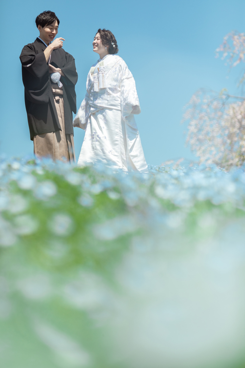 ネモフィラ畑で