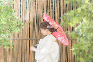  屋内庭園スタジオ