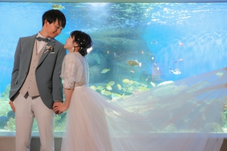 たくさんの生き物の中で思い出と写真を残せる！しながわ水族館撮影のご紹介♪