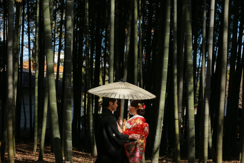 竹林でかっこよく