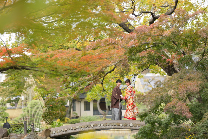 もう紅葉している樹も