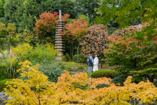 秋口の目白庭園