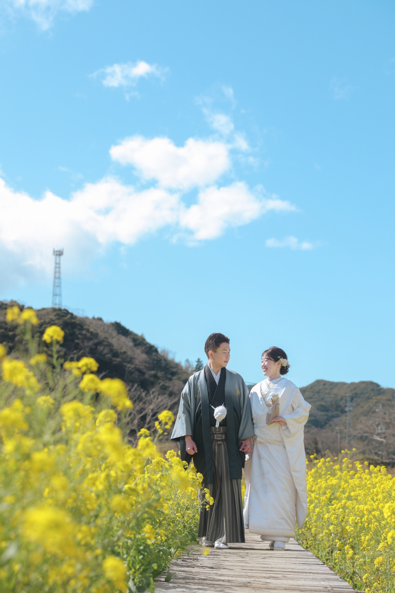 青空と菜の花も