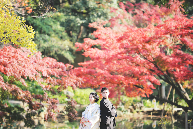 紅葉を見に行こうよ！！