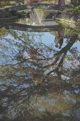 紅葉ロケーション at 肥後細川庭園 ②
