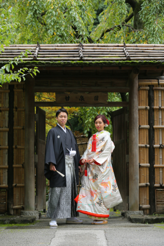 緑がしっとりと