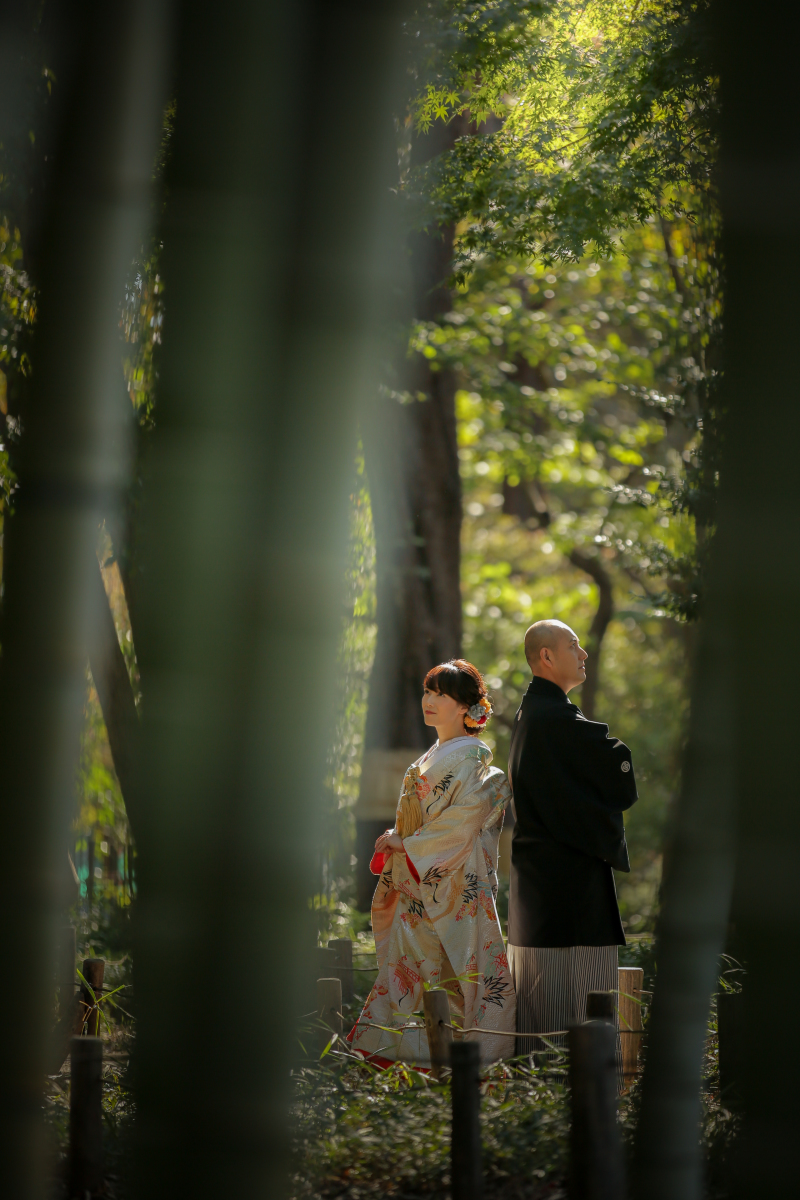 竹林の隙間から