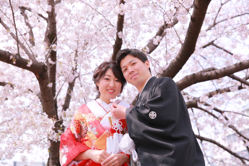 ぴったり満開！