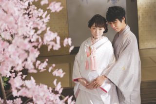 「スタジオでも春」