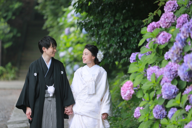 6月の紫陽花のロケ受付開始!