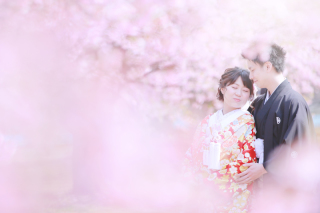 桜ロケーション