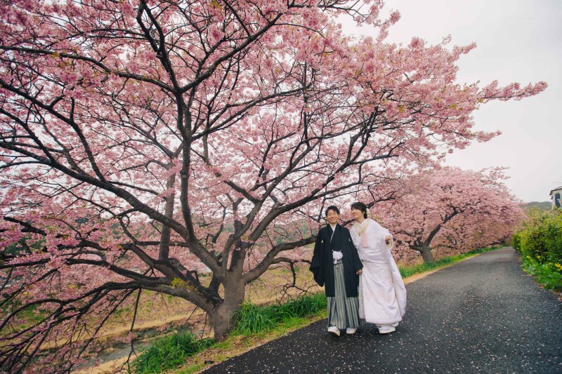 お散歩しながら