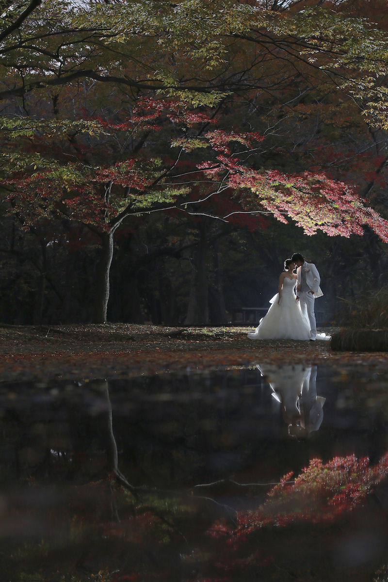 『水面＋映り込み』