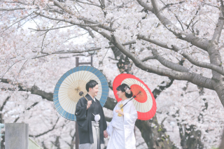 桜シーズン到来!!