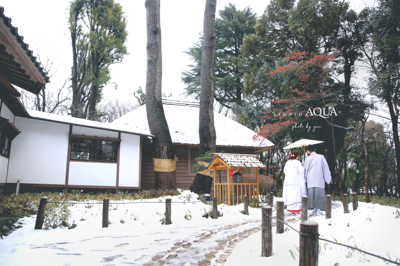 「雪の中を散歩」