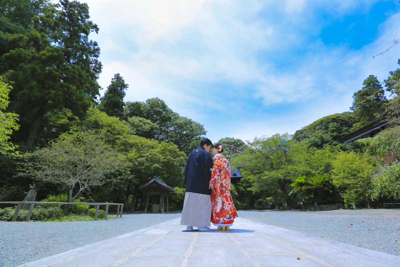 『青空＋バックショット』