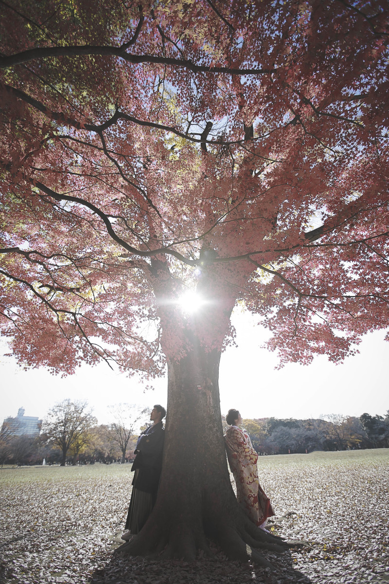 紅葉でウェディングフォトを！