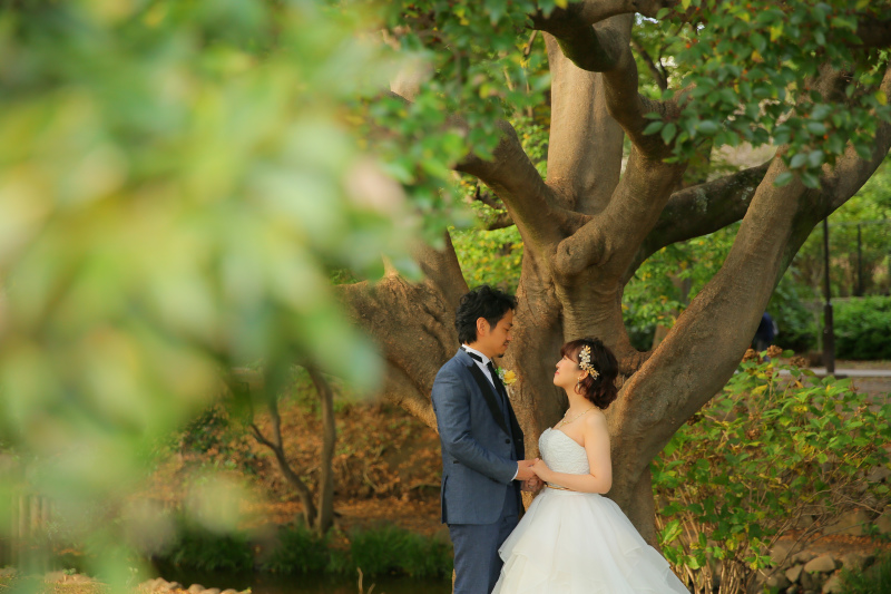 思い出の木で1枚