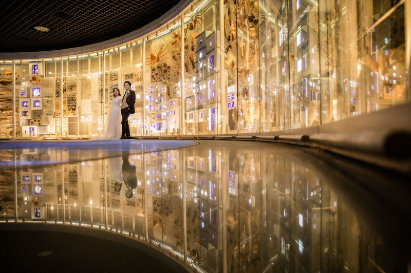 地球の多様な生き物たち