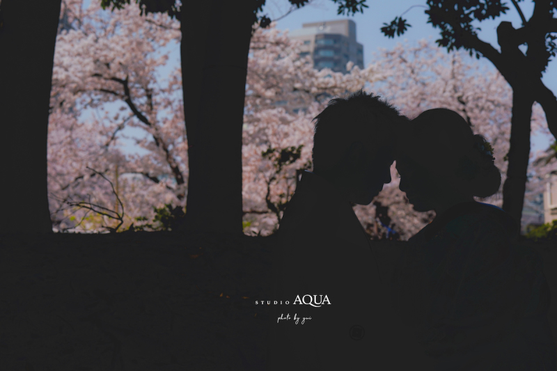 「sakuraシルエット」