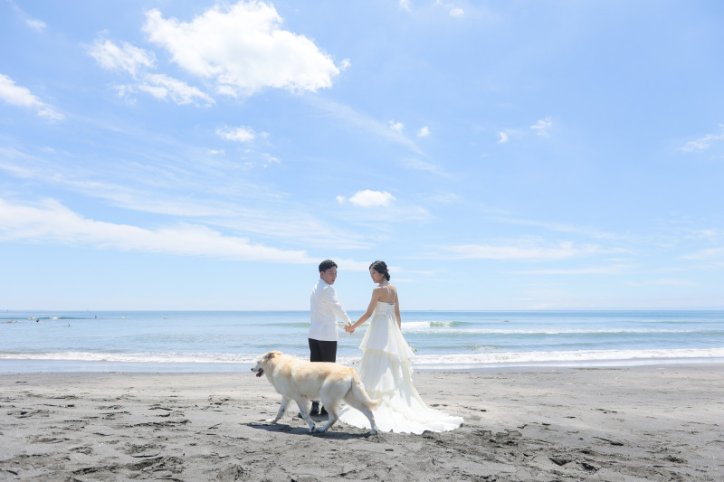 ワンちゃん登場