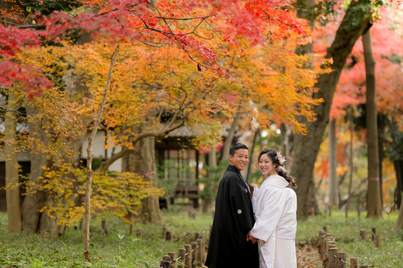 紅葉シーズンも