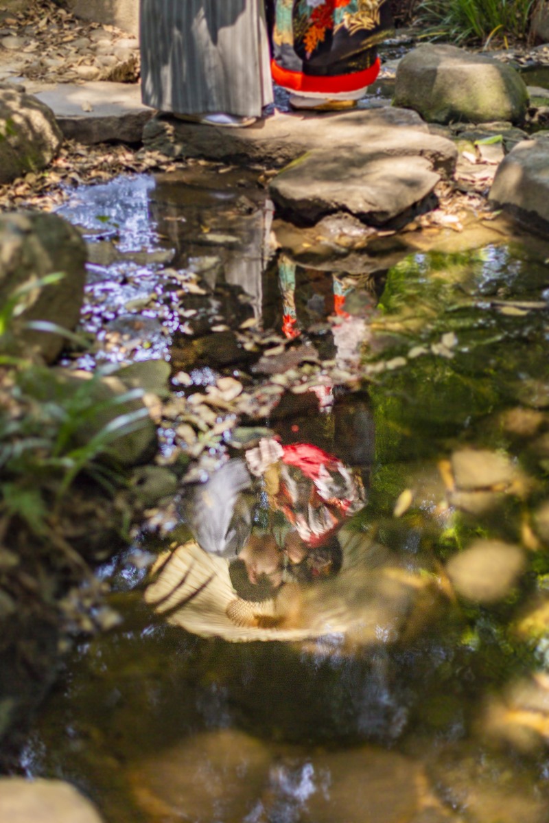 リフレクション