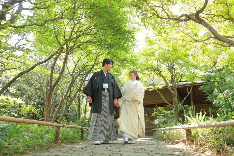 緑のトンネルで