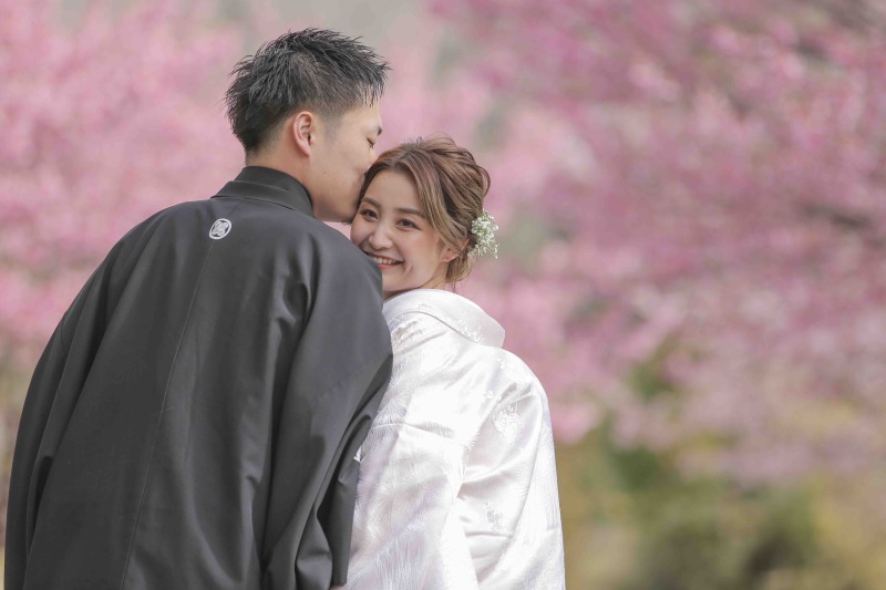 伊豆桜ロケーション