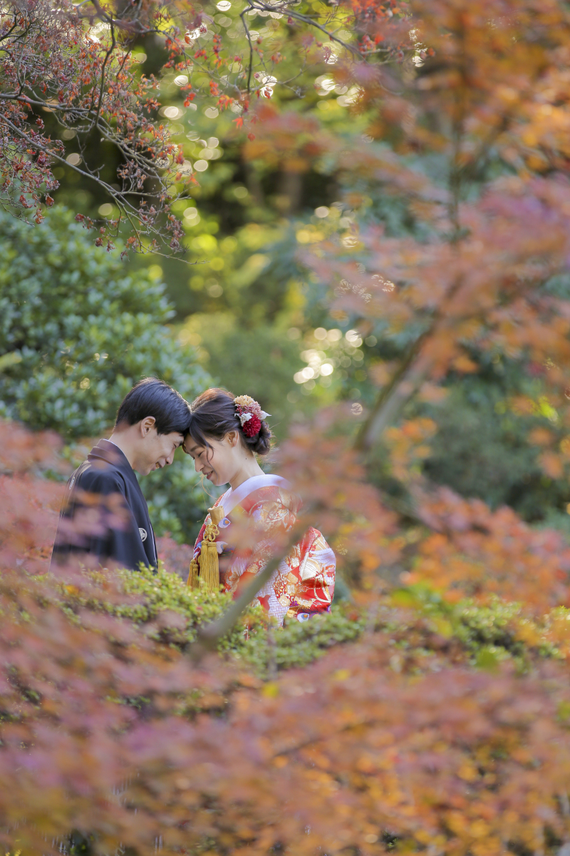 紅葉に囲まれて