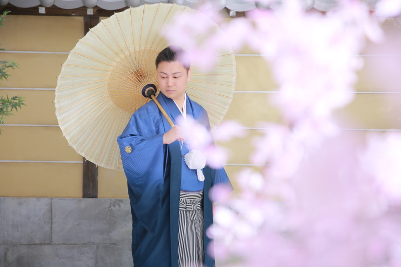 ピンクの桜にブルーの紋付が効いてますね~