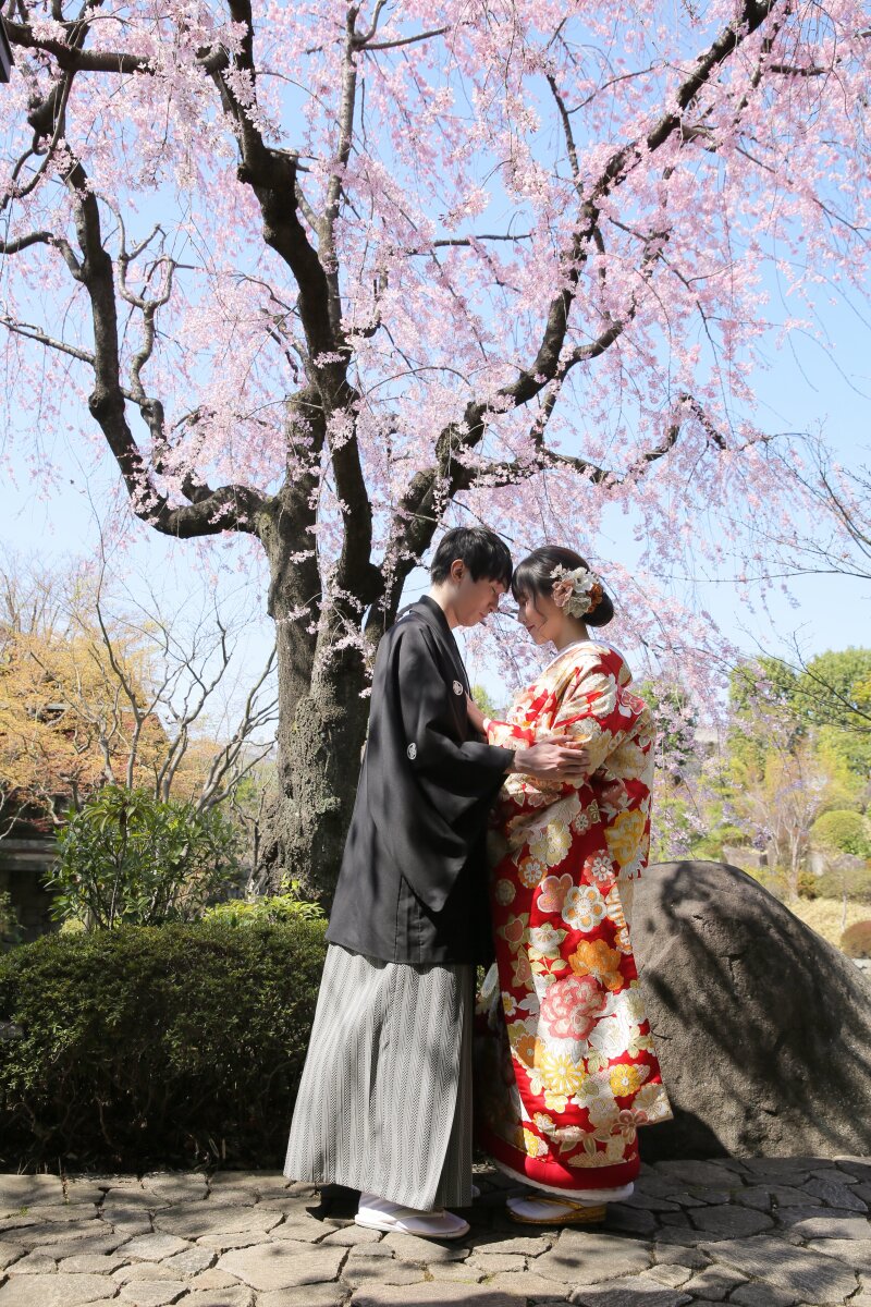目白庭園でしだれ桜と。